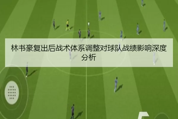 林书豪复出后战术体系调整对球队战绩影响深度分析