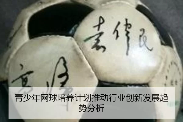 青少年网球培养计划推动行业创新发展趋势分析